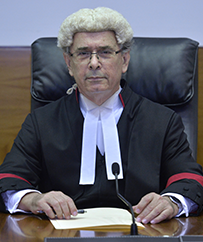 The Hon. Justice Stephen Southwood