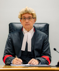 The Honourable Acting Associate Justice Craig Smyth